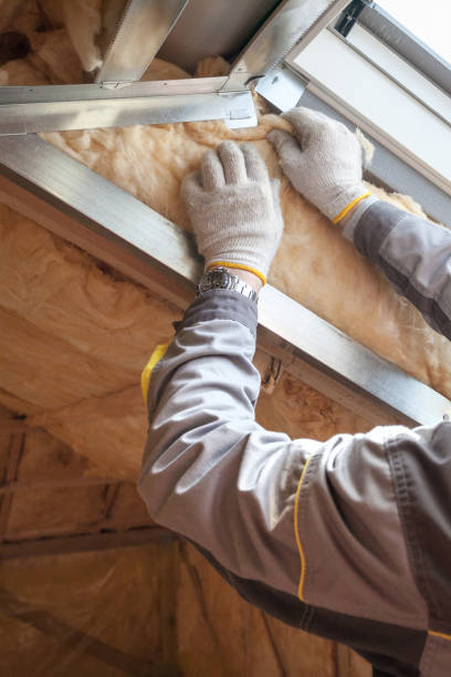 Best Geographic-Specific Insulation Services in West Union, OH